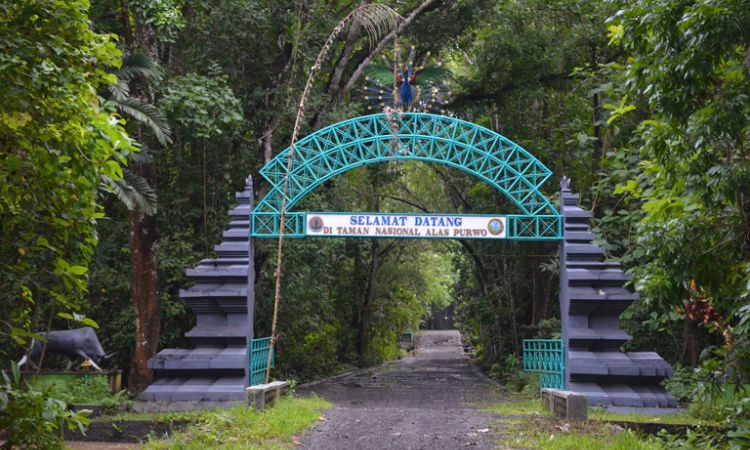Taman Nasional Alas Purwo
