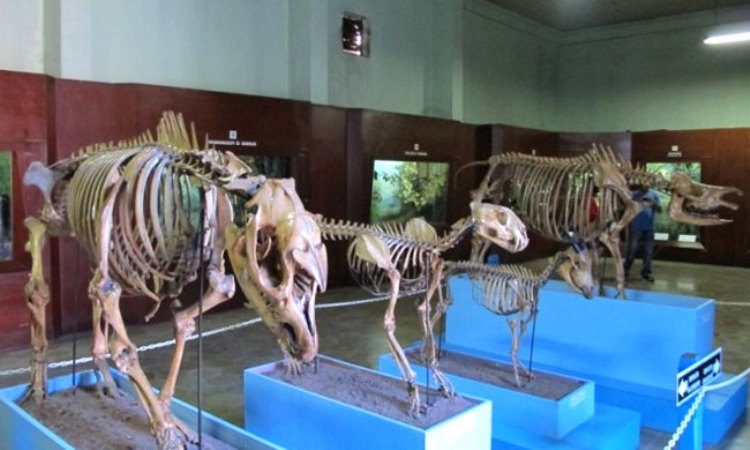 10 Museum di Bogor yang Populer Sebagai Wisata Edukasi