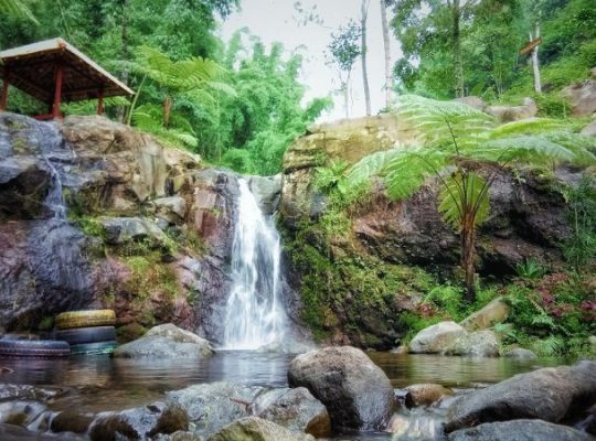 10 Air Terjun di Mojokerto yang Paling Indah & Hits