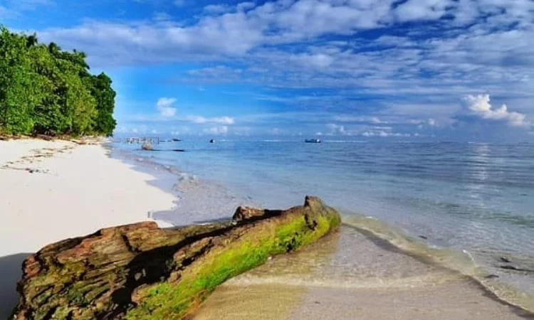 Pantai Jara-Jara