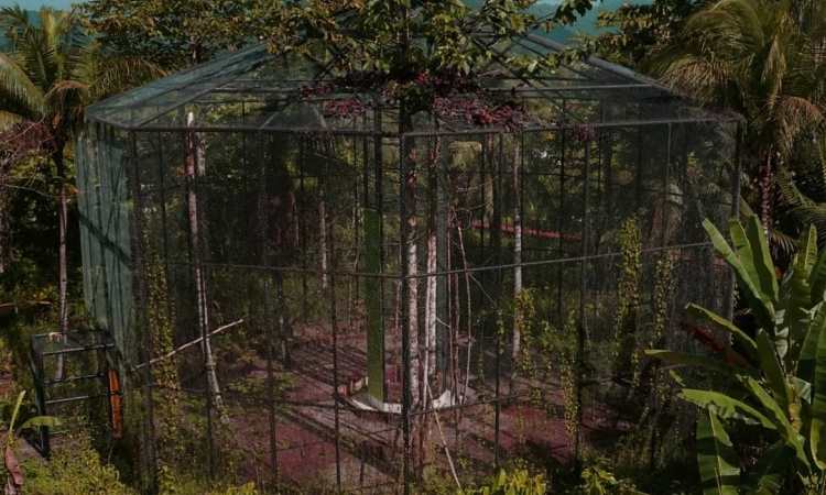 Taman Nasional Aketajawe Lolobata