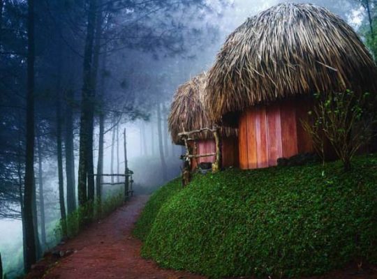 Goa Pinus, Spot Instagrammable dengan View Alam yang Memukau di Batu