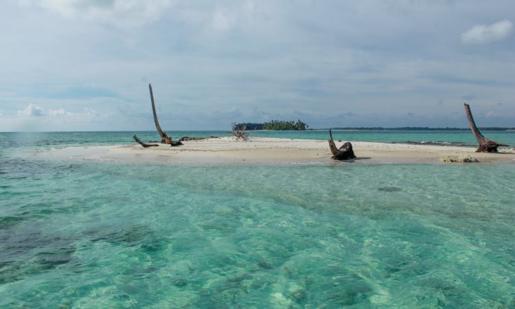 Pulau Malelo