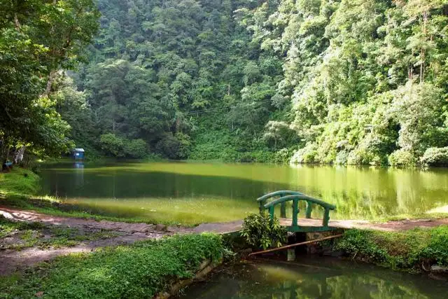 Daya Tarik Wisata Telaga Warna Puncak